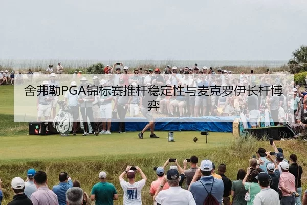 she-fu-lei-jin-biao-sai-tui-gan-wen-ding-xing-yu-mai-ke-luo-yi-zhang-gan-bo-yi-2-687.jpg