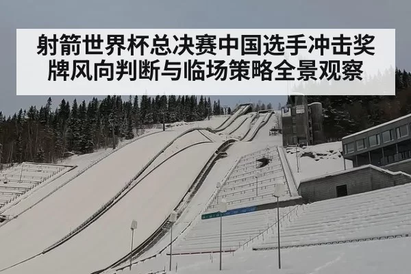射箭世界杯总决赛中国选手冲击奖牌风向判断与临场策略全景观察